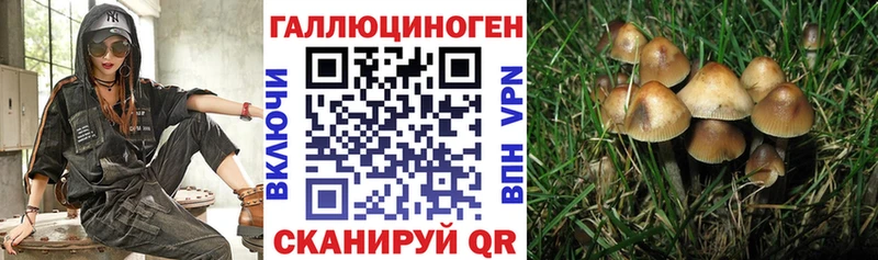 сколько стоит  Киренск  Псилоцибиновые грибы ЛСД 